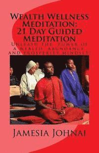 bokomslag Wealth Wellness Meditation: 21 Day Guided Meditation: Uncover your wealth, abundance, and prosperity mindset!
