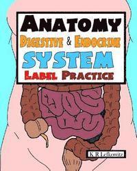 bokomslag Anatomy Digestive & Endocrine System Label Practice