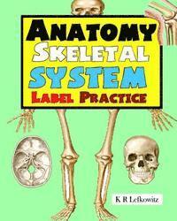 bokomslag Anatomy Skeletal System Label Practice