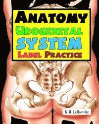 bokomslag Anatomy Urogenital System Label Practice