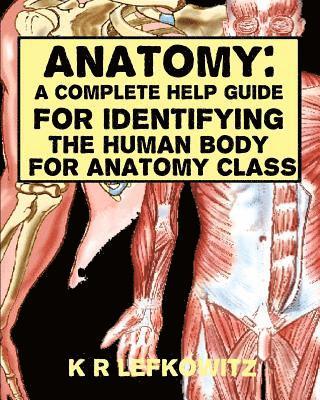 bokomslag Anatomy: A Complete Help Guide For Identifying The Human Body For Anatomy Class