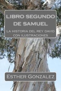 bokomslag libro segundo de samuel: la historia del rey david