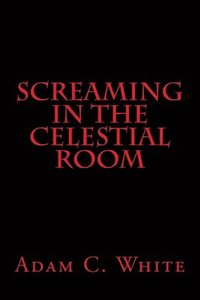 bokomslag Screaming in the Celestial Room