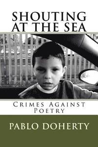 bokomslag Shouting at the Sea V3: Crimes Against Poetry