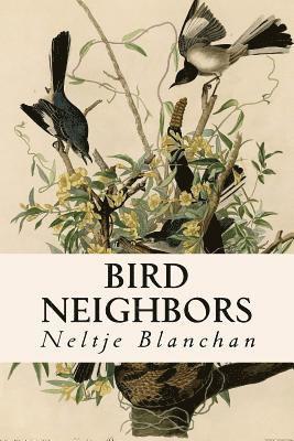 bokomslag Bird Neighbors