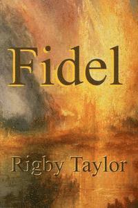 bokomslag Fidel