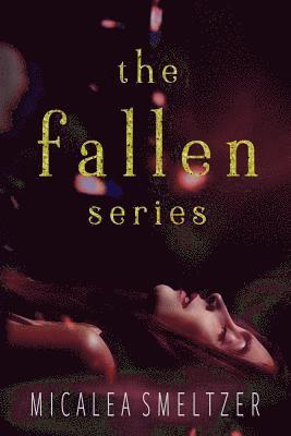 bokomslag Fallen Series