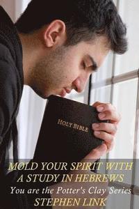 bokomslag Mold Your Spirit with a Study in Hebrews: You Are the Potter's Clay Series
