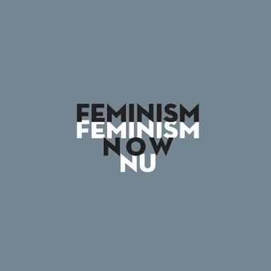 bokomslag Feminism Now: Art Exhibition by Feminist Image Group and Krogen Amerika