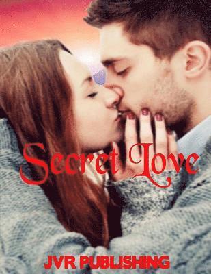Jvr Publishing - Secret Love: New Adult Contemporary Romance, Häftad