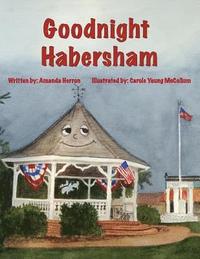 bokomslag Good Night Habersham