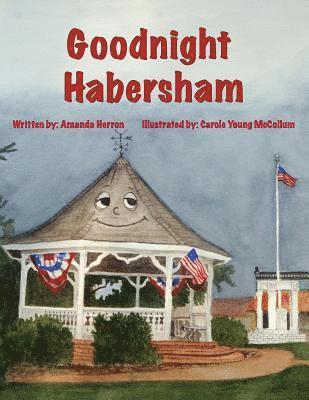Amanda Herron - Good Night Habersham, Häftad