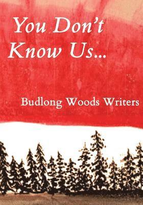 bokomslag You Don't Know Us...: Budlong Woods Writers