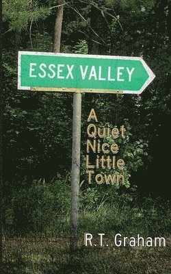 bokomslag Essex Valley: A Quiet, Nice Little Town