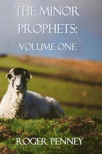 bokomslag The Minor Prophets: Volume One