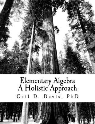 bokomslag Elementary Algebra: A Holistic Approach