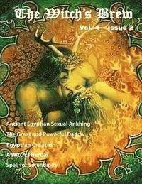 Melissa E. Anderson - Witch's Brew, Vol. 4 Issue 2: Volume 4 Issue 2, Häftad