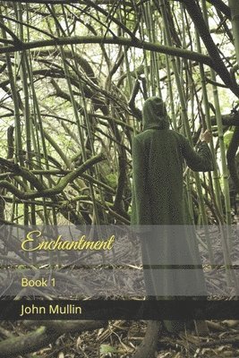 bokomslag Enchantment