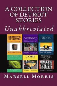 bokomslag A Collection of Detroit Stories: Unabbreviated