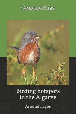 bokomslag Birding hotspots in the Algarve: Around Lagos