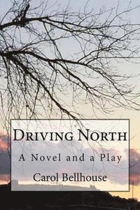 bokomslag Driving North