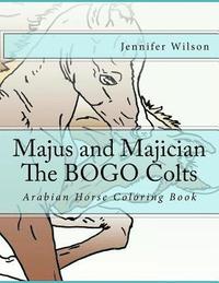 bokomslag Majus and Majician Twin Colts Coloring Book: Horse Coloring Fun