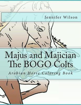 Majus and Majician Twin Colts Coloring Book: Horse Coloring Fun 1