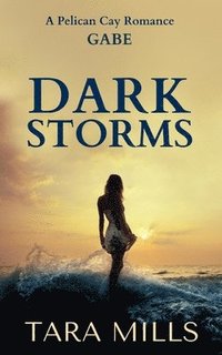 bokomslag Dark Storms