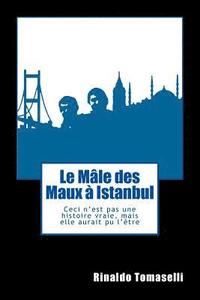 bokomslag Le Mâle des Maux à Istanbul: Ceci n'est pas une histoire vraie, mais elle aurait pu l'être