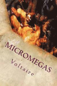 Micromegas 1