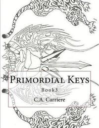 bokomslag Primordial Keys