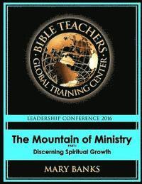 bokomslag The Mountain of Ministry: Discerning Spiritual Growth
