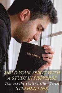 bokomslag Mold Your Spirit with a Study in Proverbs: You Are the Potter's Clay Series
