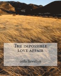 bokomslag The impossible love affair