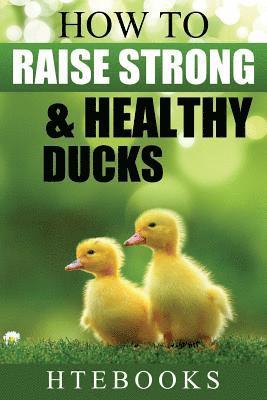 How To Raise Strong & Healthy Ducks 1