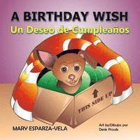 bokomslag A Birthday Wish/Un Deseo de Cumpleanos