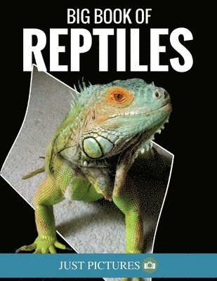 Big Book Of Reptiles 1