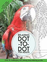 bokomslag Relaxing Dot-To-Dot For Adults: Over 30 challenging and calming stress-relieving puzzles
