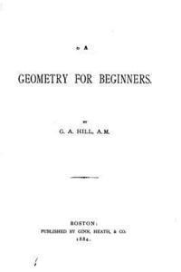 bokomslag A geometry for beginners