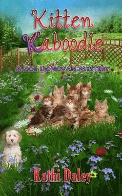 Kathi Daley - Kitten Kaboodle, Häftad