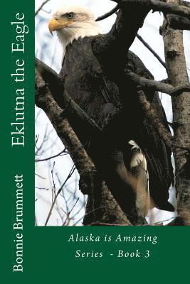 Bonnie J. Brummett - Eklutna the Eagle, Häftad