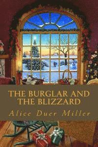 bokomslag The Burglar and the Blizzard