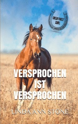 bokomslag Versprochen ist versprochen