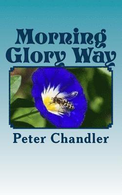 Morning Glory Way 1