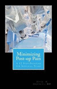 bokomslag Minimizing Post-op Pain: A 12 Step Program for Surgical Teams