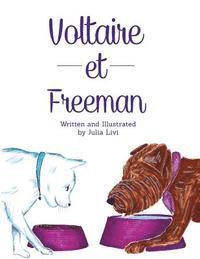 bokomslag Voltaire et Freeman