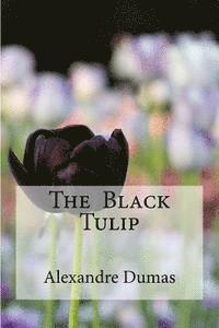 bokomslag The Black Tulip