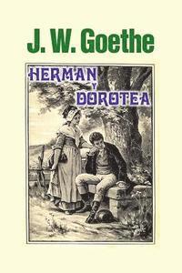 bokomslag Herman y Dorotea