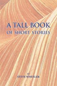 bokomslag A Tall Book of Short Stories