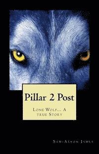 bokomslag Pillar 2 Post: Lone Wolf... A true Story